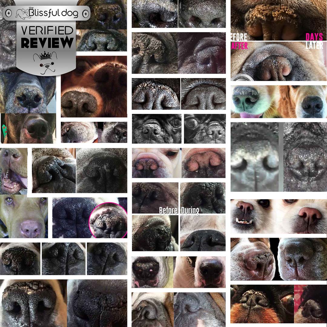Nose Butter® for Dry Dog Noses