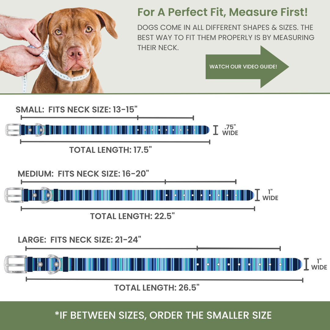 Waterproof Dog Collar