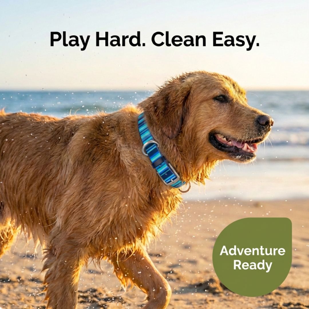 Waterproof Dog Collar