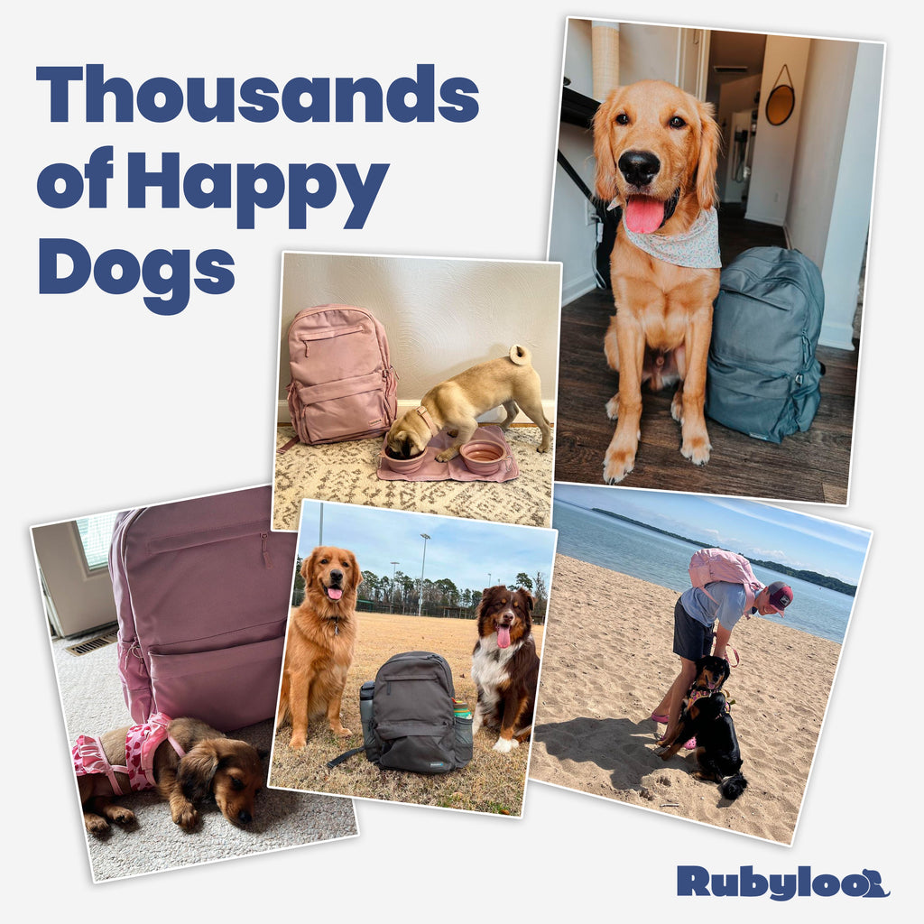 Original Doggy Bag™ Travel Backpack