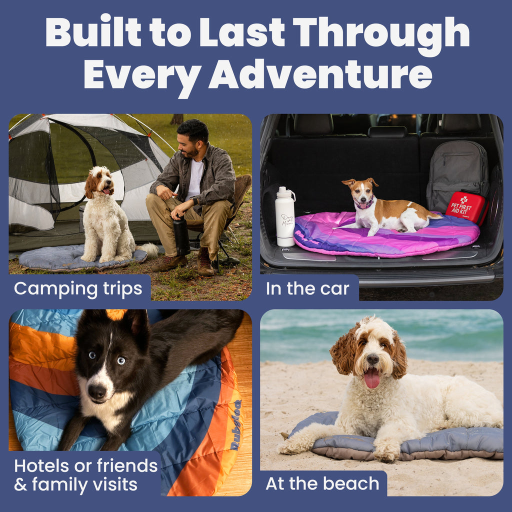 Packable Travel Dog Bed