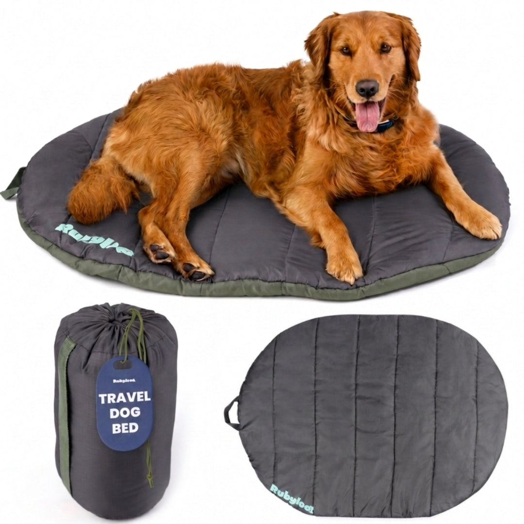 Packable Travel Dog Bed