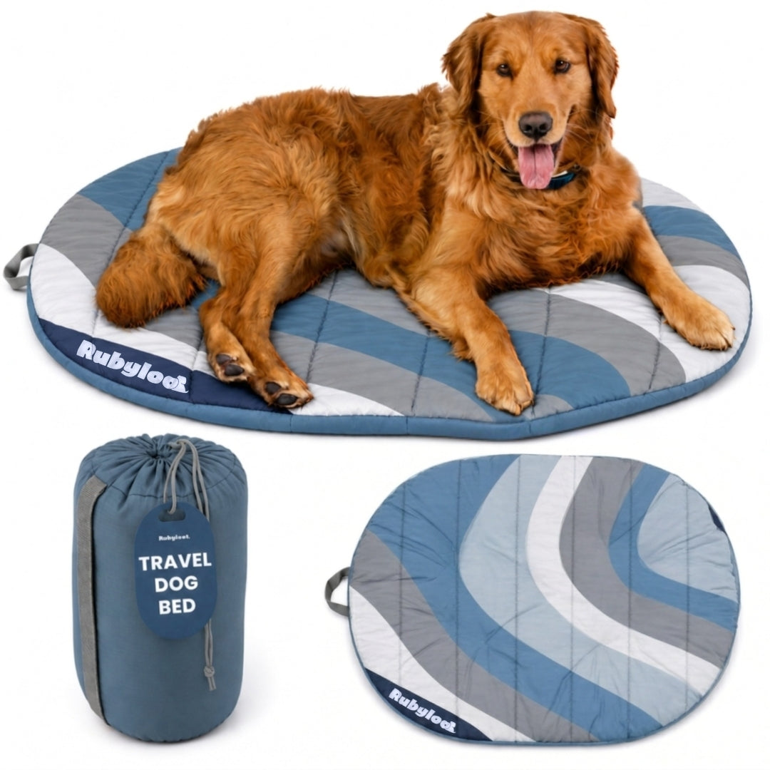 Packable Travel Dog Bed