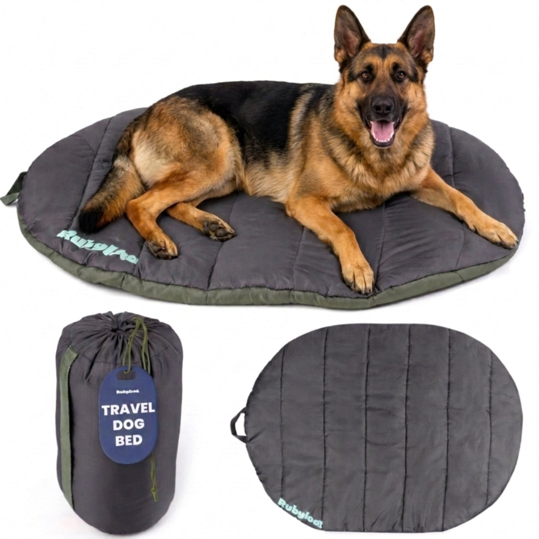Packable Travel Dog Bed