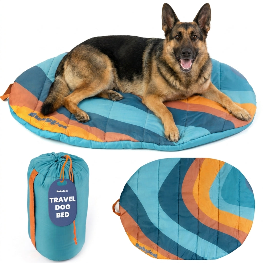 Packable Travel Dog Bed