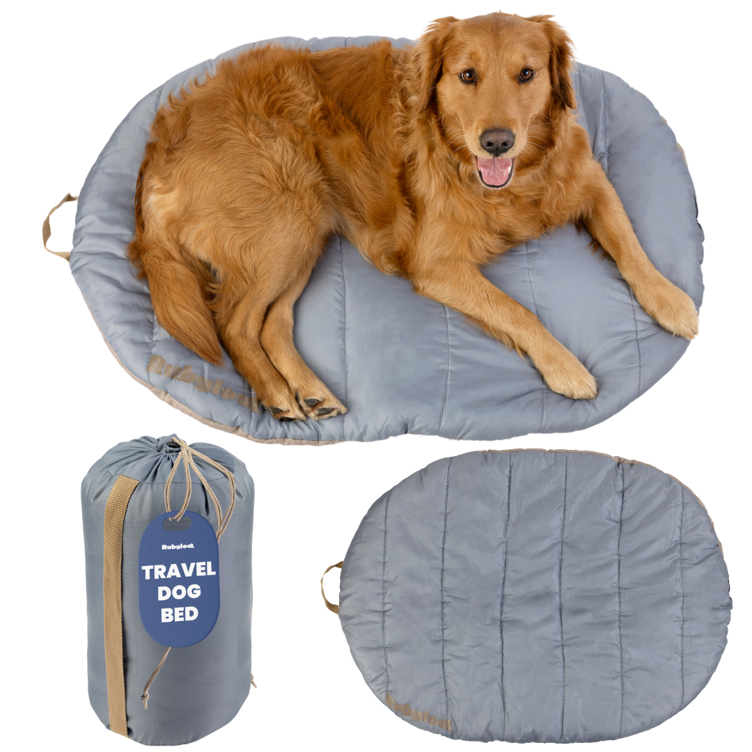 Packable Travel Dog Bed