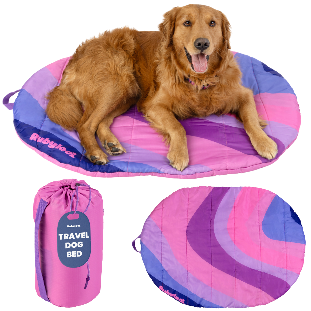 Packable Travel Dog Bed