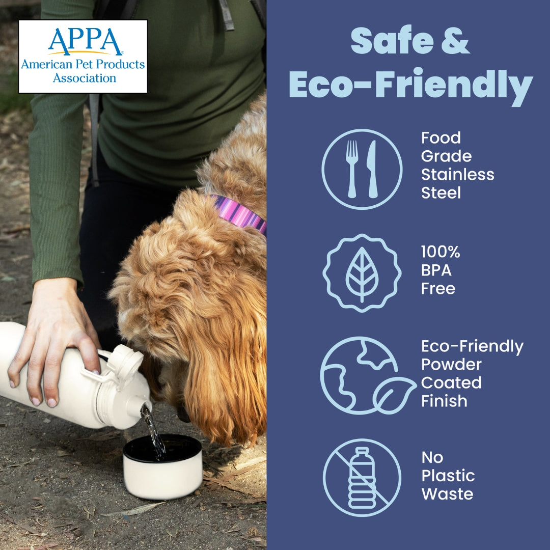 Dog + Human Travel Water Bottle