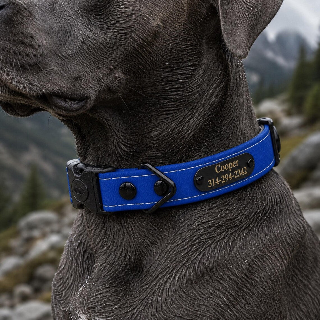 Rugged Waterproof AirTag Dog Collar